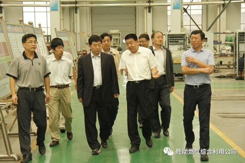 國家能源局能源節約和科技裝備司司長王思強調研勝動集團，共謀能源科技與服務創新發展